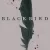 Black Bird 1. Sezon 1. Bölüm Small Poster
